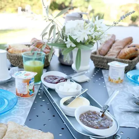 Au Coeur Des Vignes Bed & Breakfast Archiac