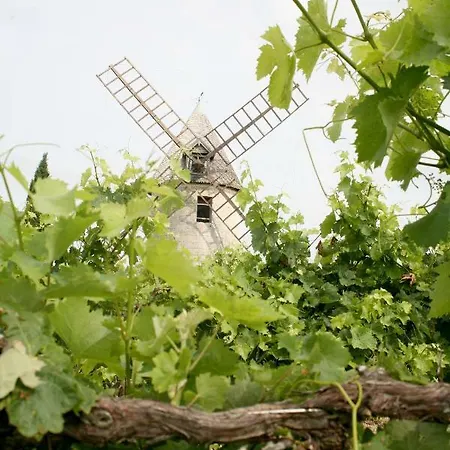 Au Coeur Des Vignes Archiac