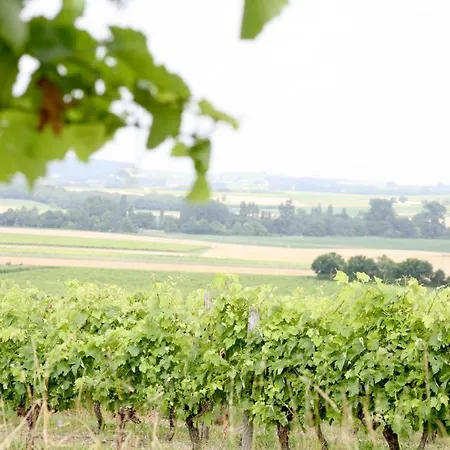 فندق مبيت وإفطار Au Coeur Des Vignes