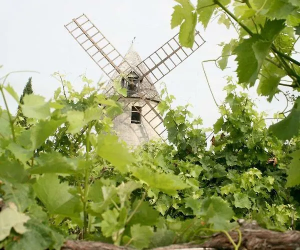 Au Coeur Des Vignes Archiac