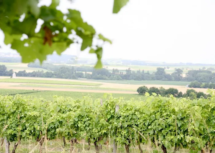 Bed & Breakfast Au Coeur Des Vignes